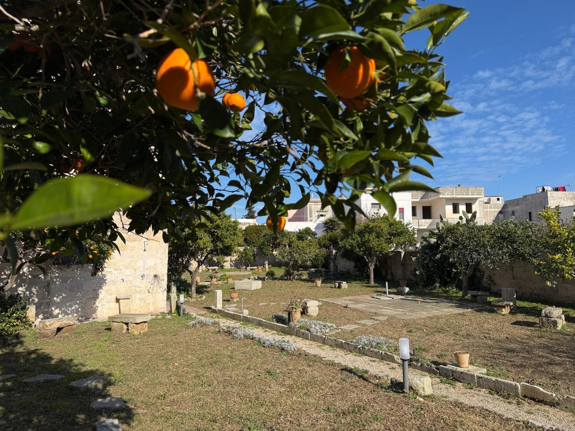 Residenza Storica Parco Lanoce Διαμέρισμα Poggiardo Εξωτερικό φωτογραφία